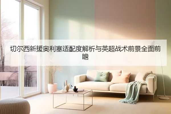 切尔西新援奥利塞适配度解析与英超战术前景全面前瞻